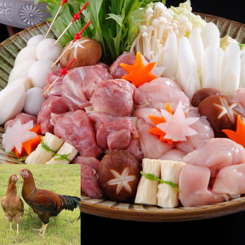 大和肉鶏/奈良県公式ホームページ